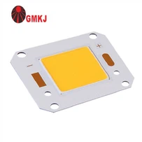 COB LED Flip Chip 20W għall-Lampa tal-Pajsaġġ